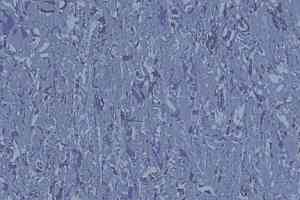 Линолеум Gerflor Mipolam Cosmo 2636 OVERSEAS фото  | FLOORDEALER